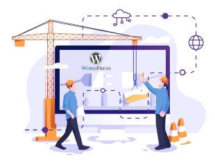 Basic WordPress Support Services
